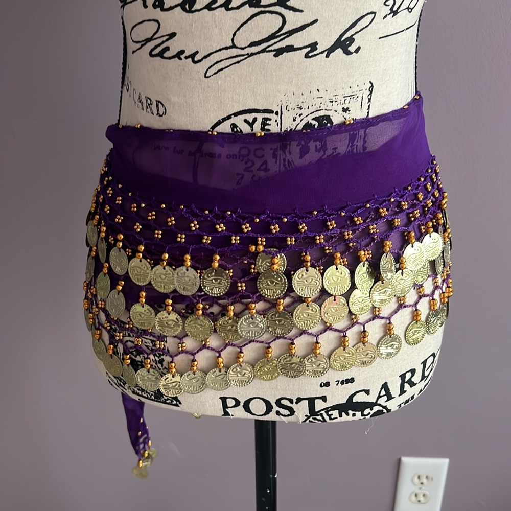 Purple Belly Dancer Belt/Skirt EUC
